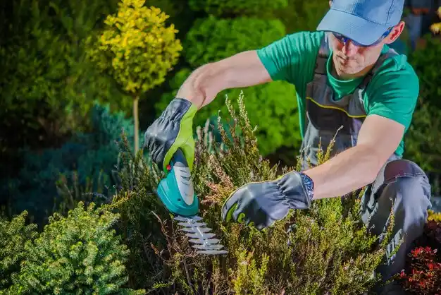 landscaping services Braintree